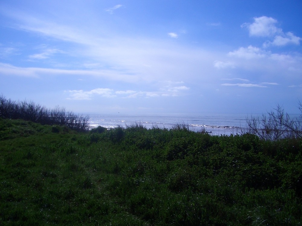 Rustington Beach, Rustington, West Sussex