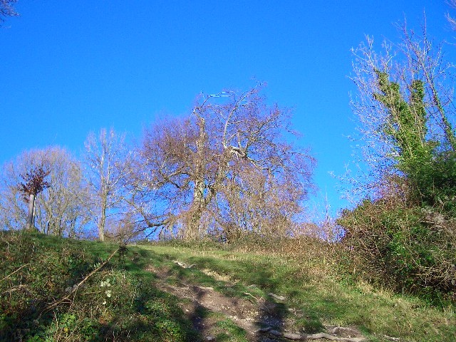 Walking round the Lake in Arundel, West Sussex