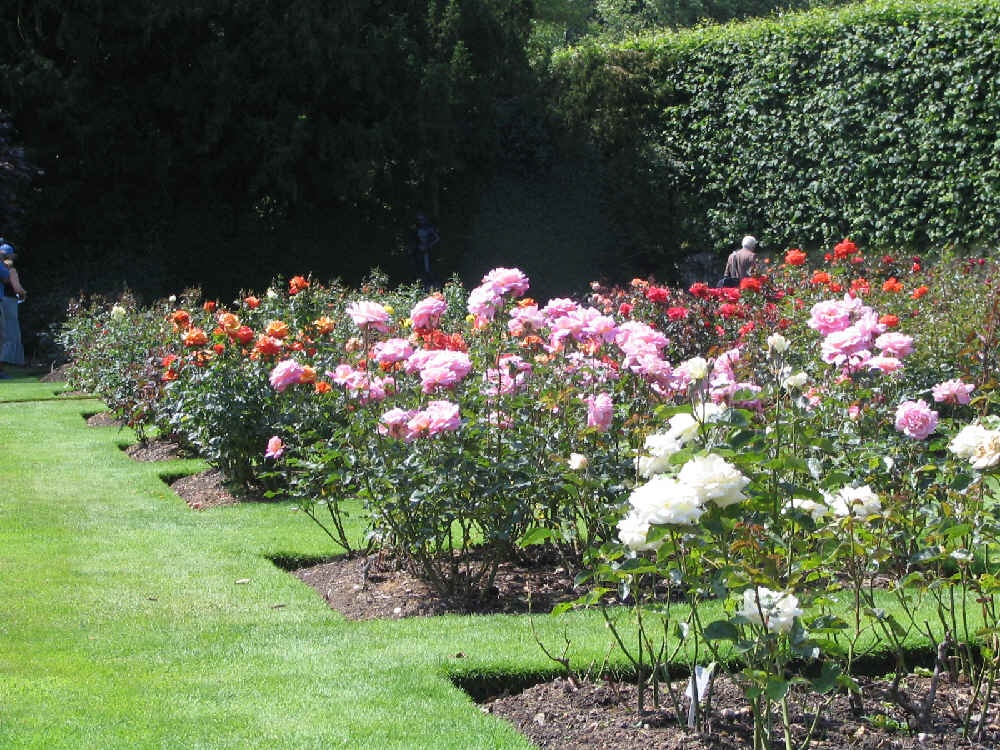 Anglesey Abbey, Near Cambridge
