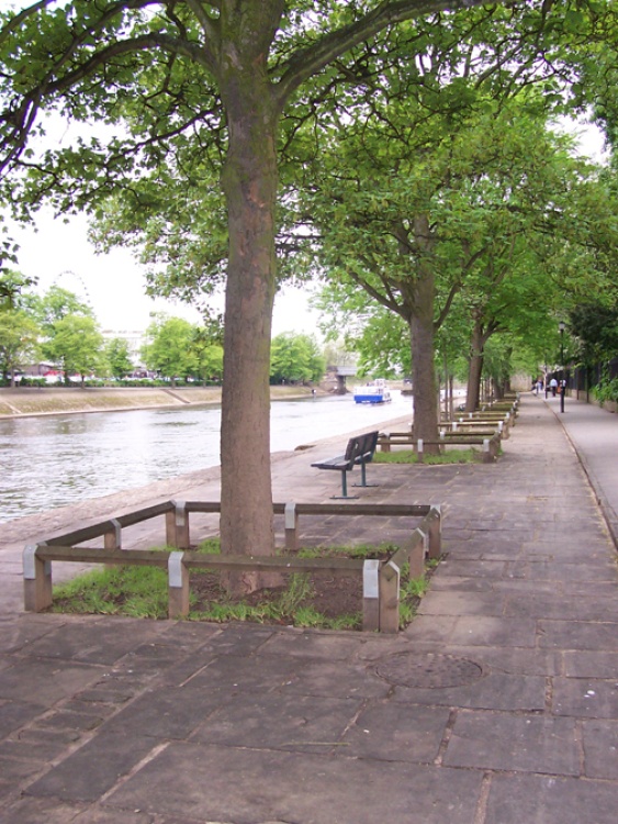 River view in York
