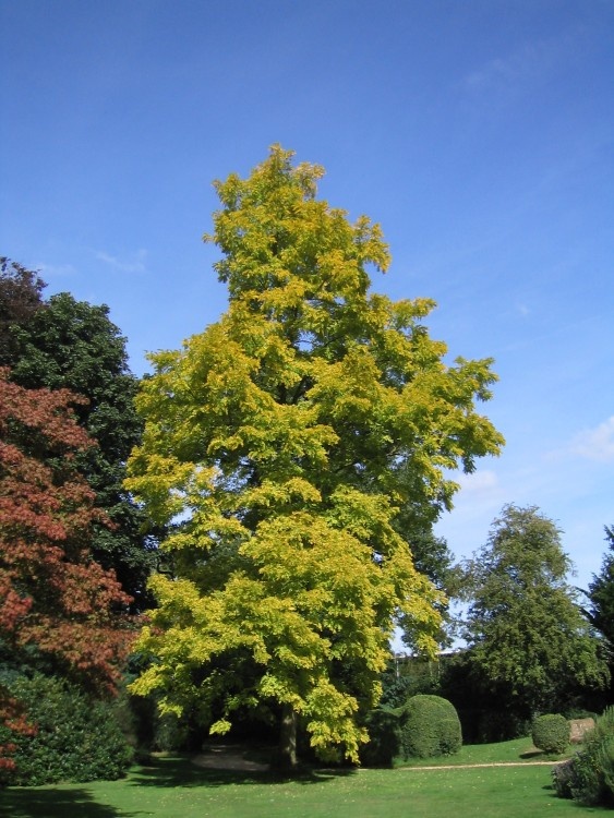 Swiss Garden, Old Warden, Bedfordshire - June 2006