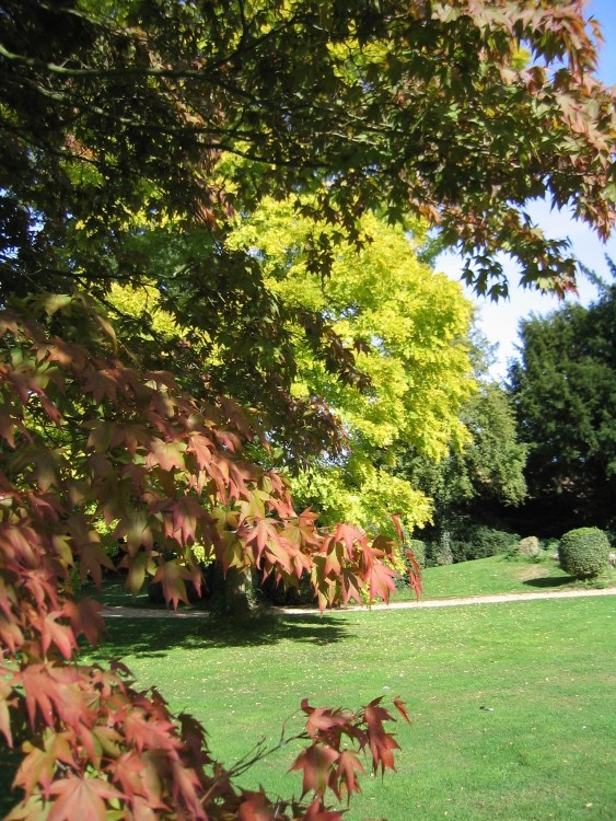 Swiss Garden, Old Warden, Bedfordshire