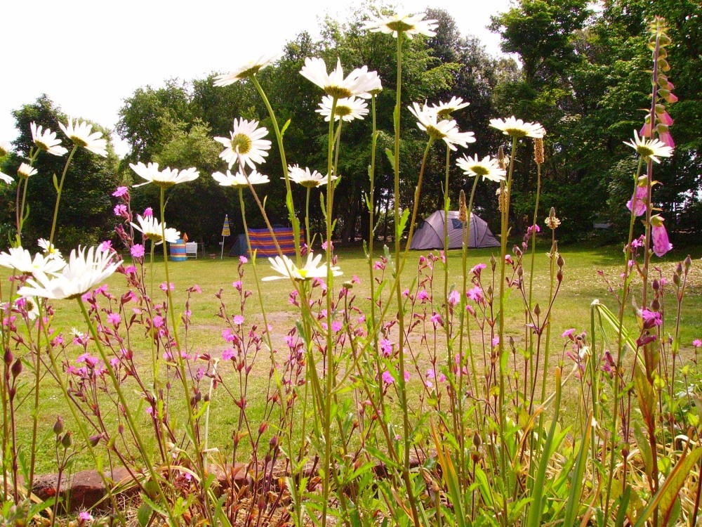 Cliff House Holiday Park, Dunwich, Suffolk