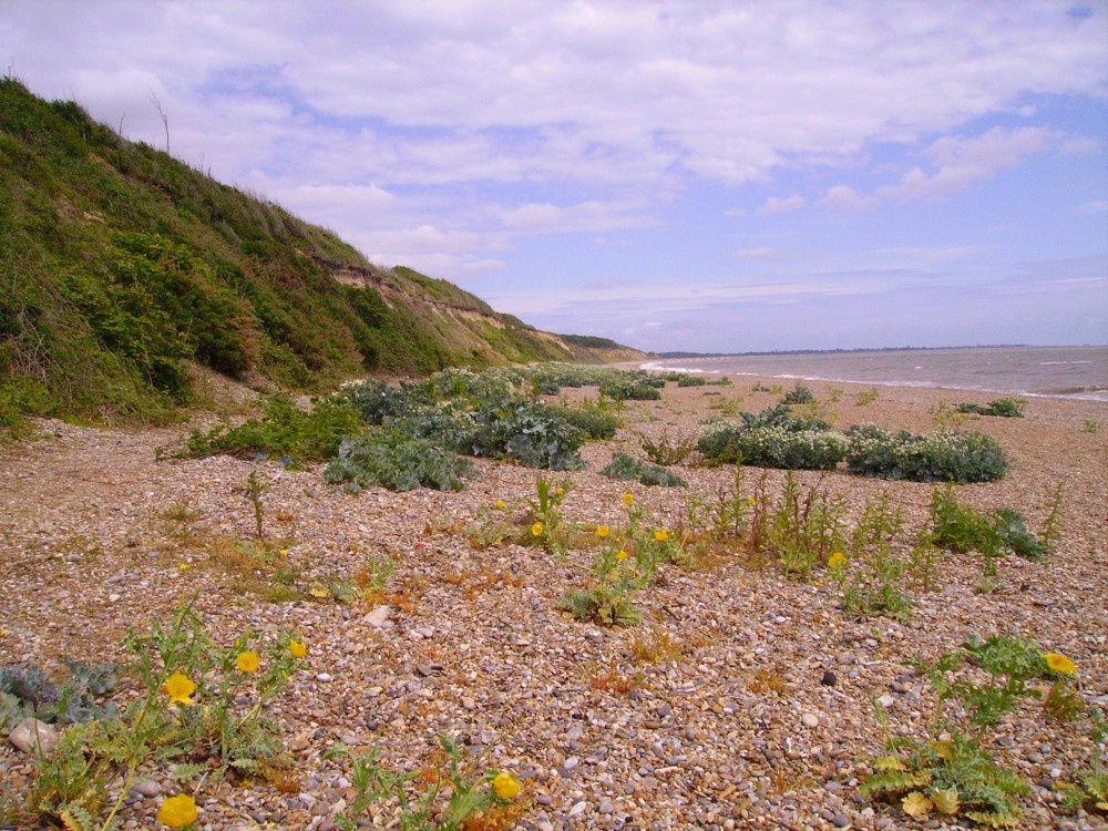 Dunwich, Suffolk - June 2006