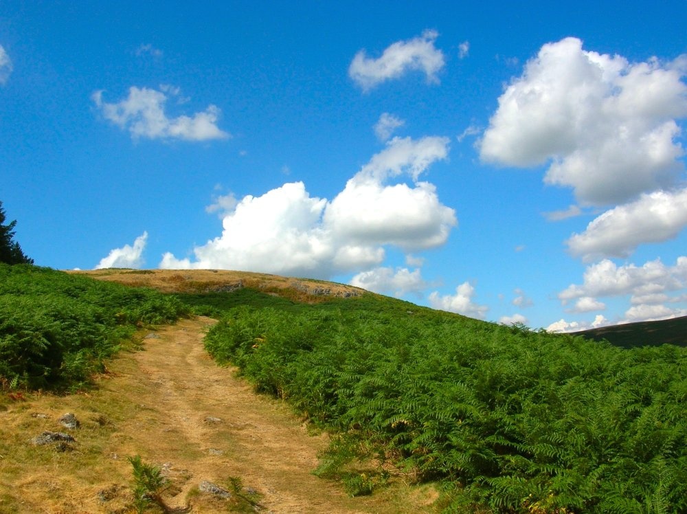 Brough Law in the Breamish valley, Cheviot Hills, Northumberland. photo by Terry Walsh