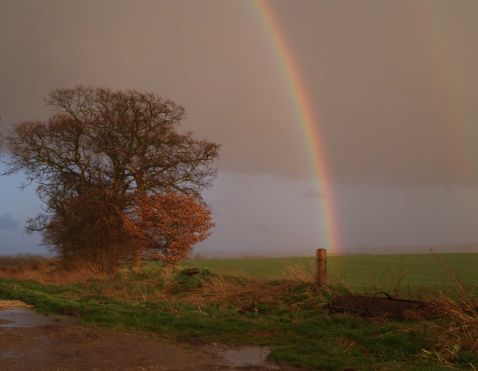 Rainbow near Uffington, Vale of White Horse. April 2006. photo by Tony Tooth