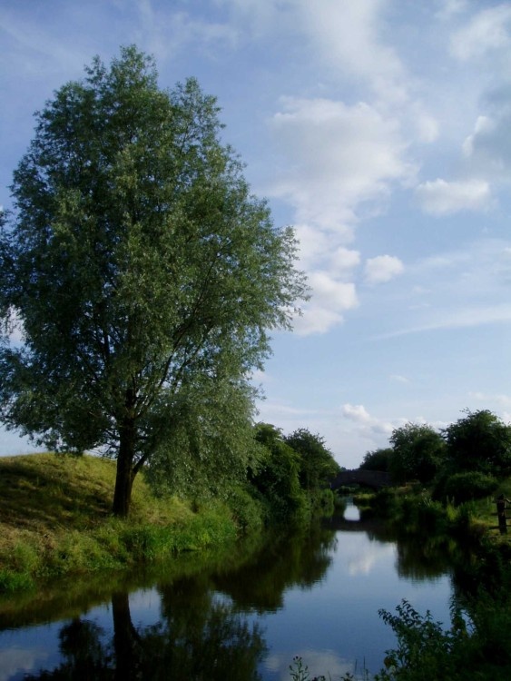 Oxford Canal at Somerton, Oxon.