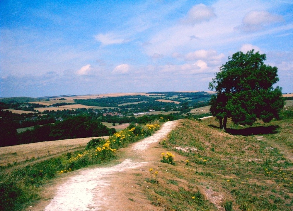 A picture of Cissbury Ring photo by PirateDuchess