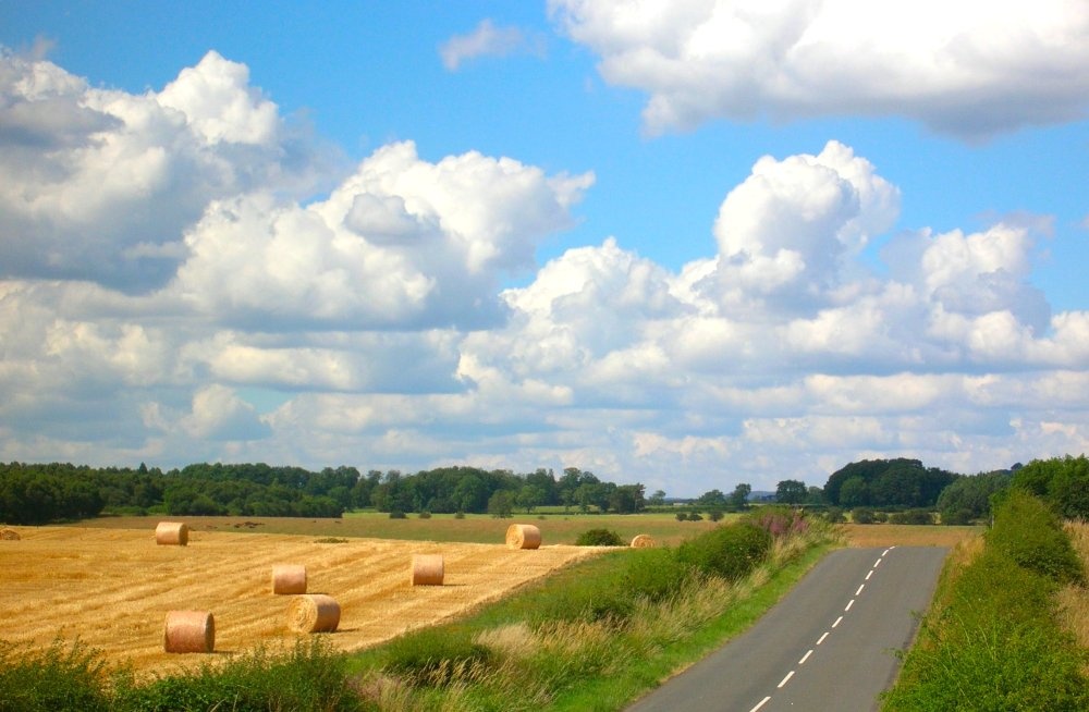 Photograph of Near Bolam in Northumberland.