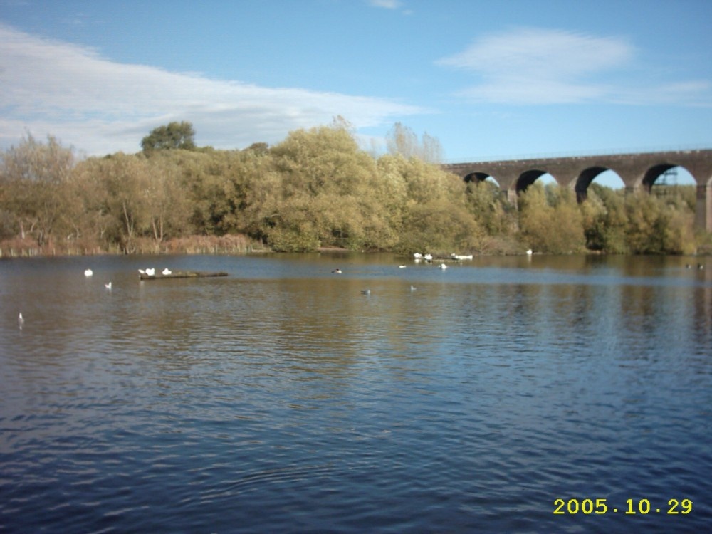 Fishing Pond at Reddish Vale, Stockport