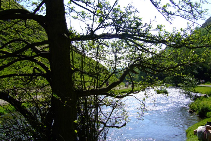 This photo was taking at Dove Dale near Stoke on trent