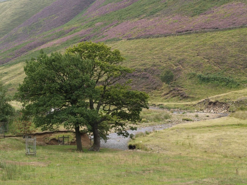View in the High Peaks, Snake Pass, near Glossop.