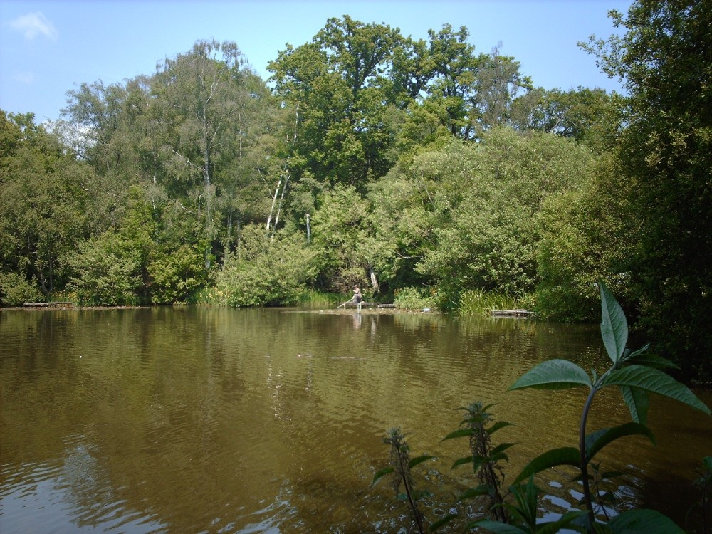 Photograph of furnace lake, near Slaugham, west sussex.