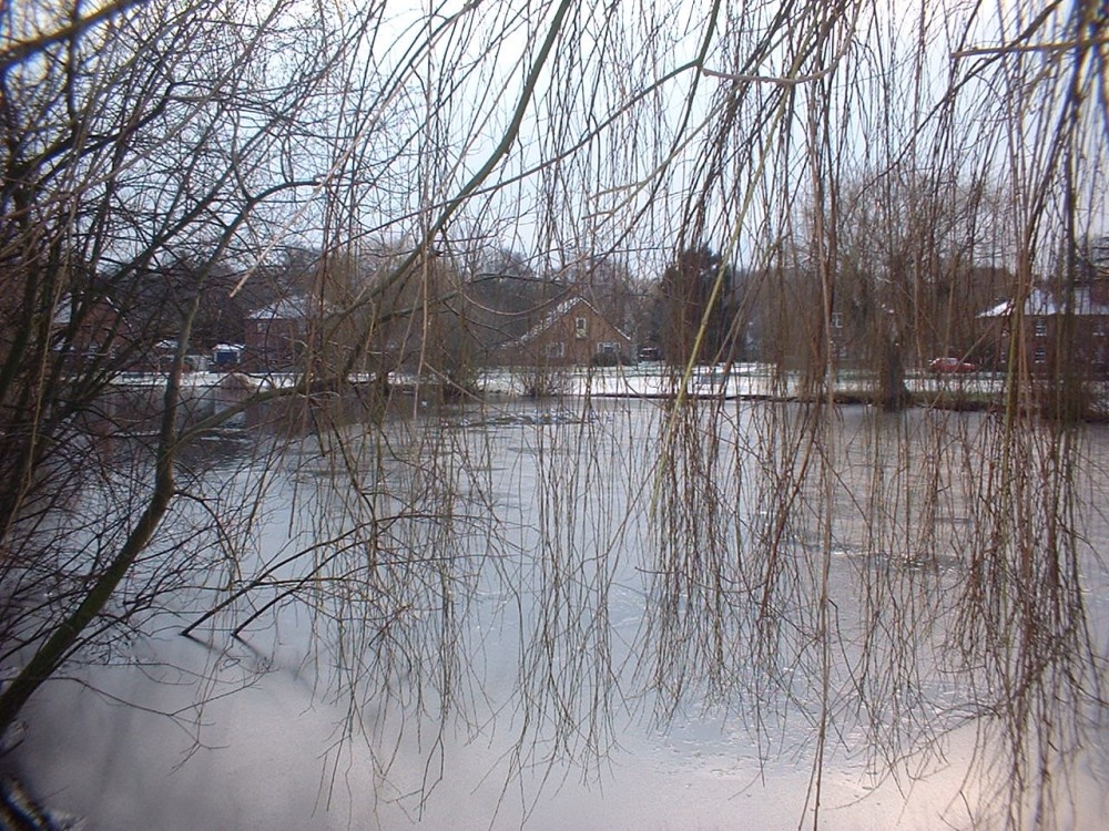 Photograph of West End Pond. Nr. Esher, Surrey, England