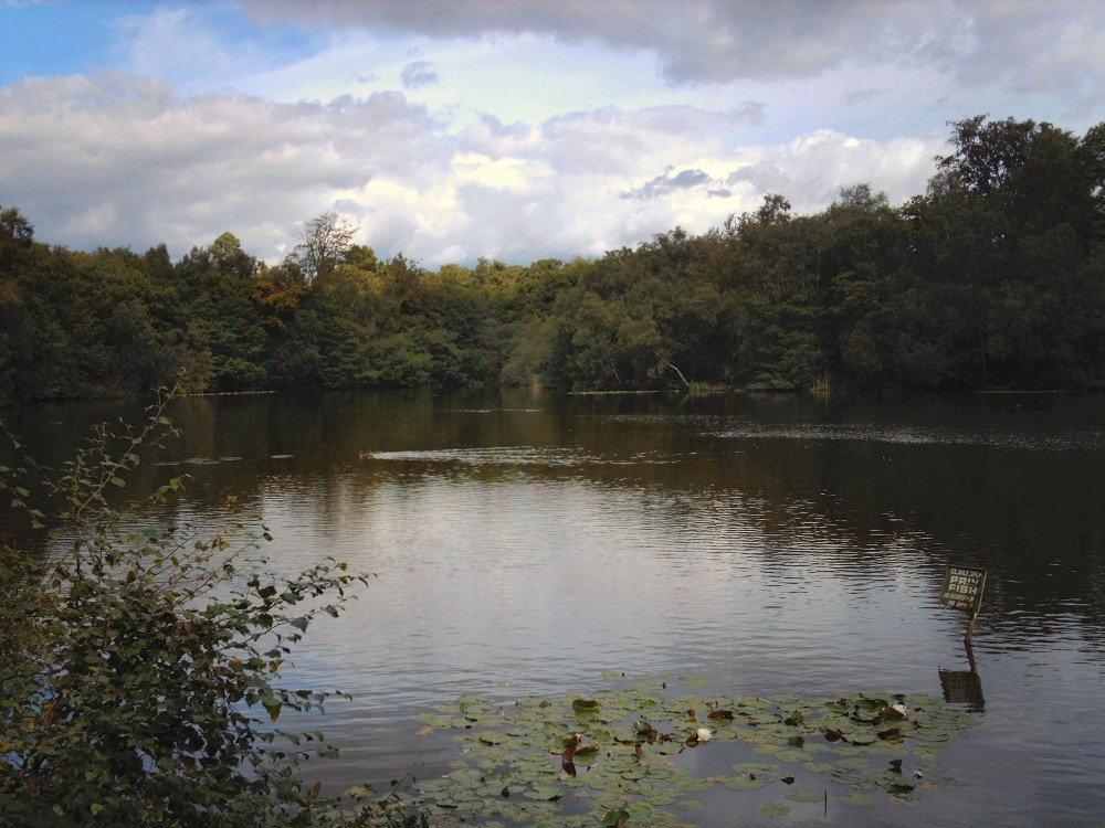 Photograph of view of slaugham lake, slaugham, west sussex.