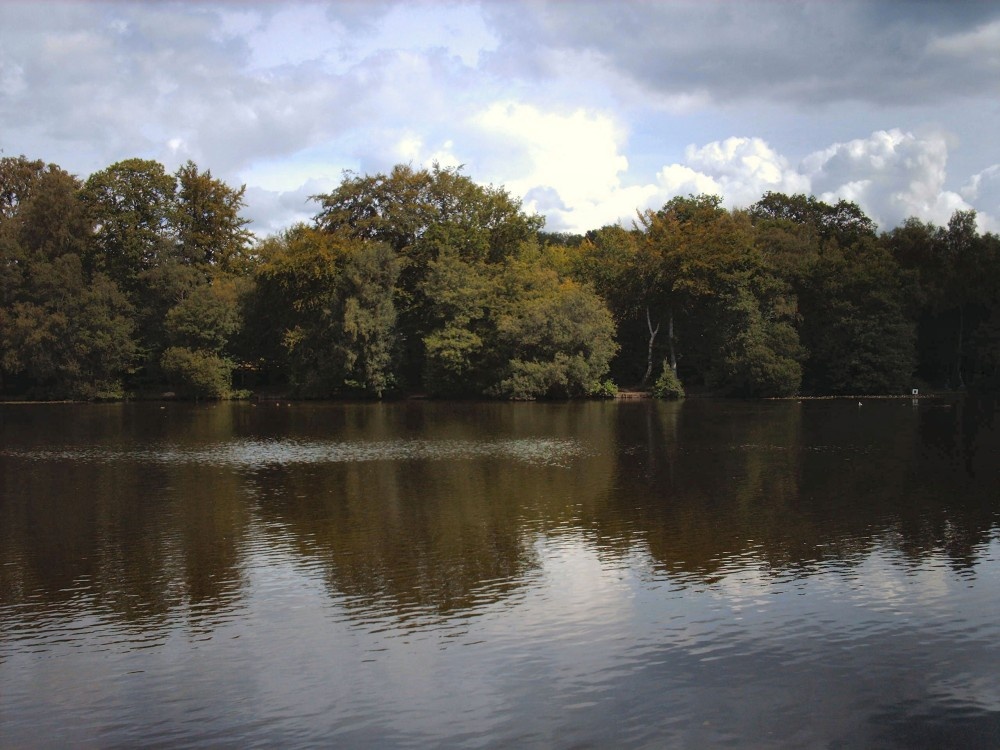 view of slaugham lake, slaugham, west sussex.