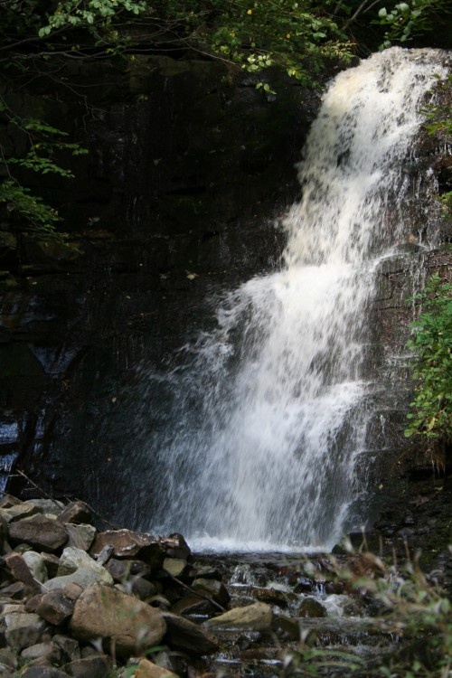 Thortergill Force, at Thortergill in Weardale
