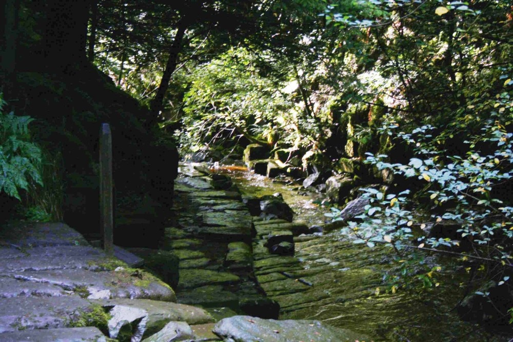 Photograph of The walkway along towards the waterfall @ THORTERGILL FORCE, Thortergill in Weardale
