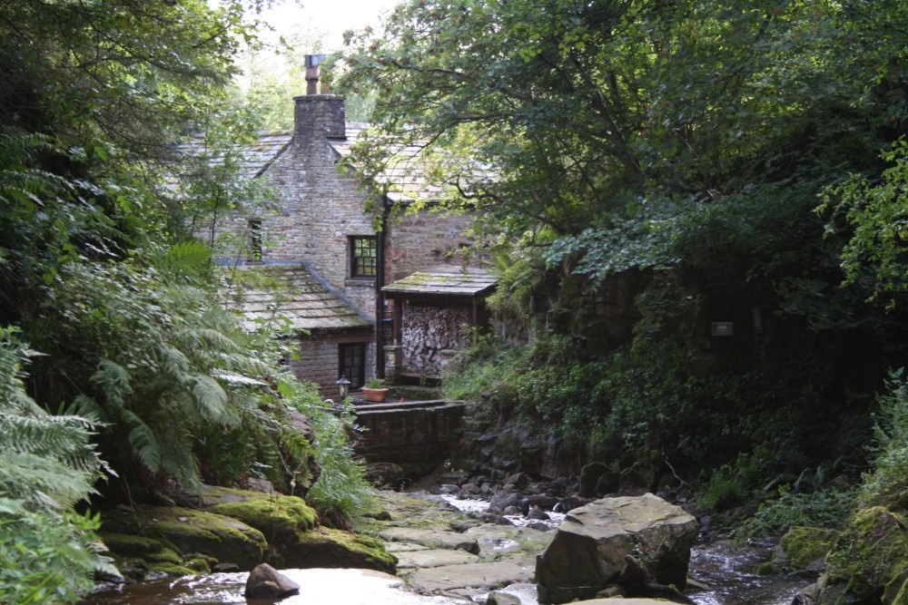 Photograph of THE TEAROOM'S @  THORTERGILL FORCE, 
Thortergill in Weardale