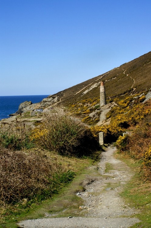 Near Trevellas, Cornwall. April 2006