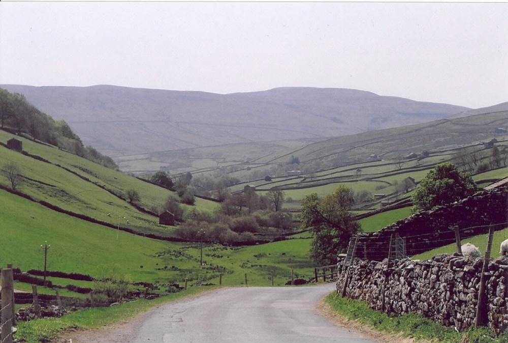 Photograph of View to the south taken in upper swaledale near Keld, North Yorkshire