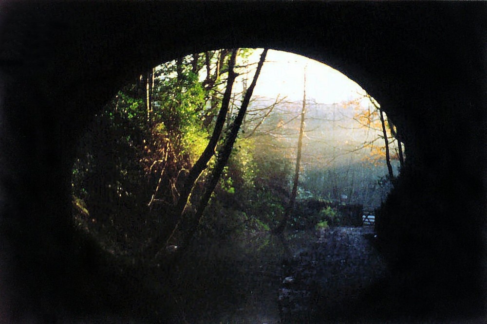 From inside disused railway tunnel in Plymbridge Woods, December 1996