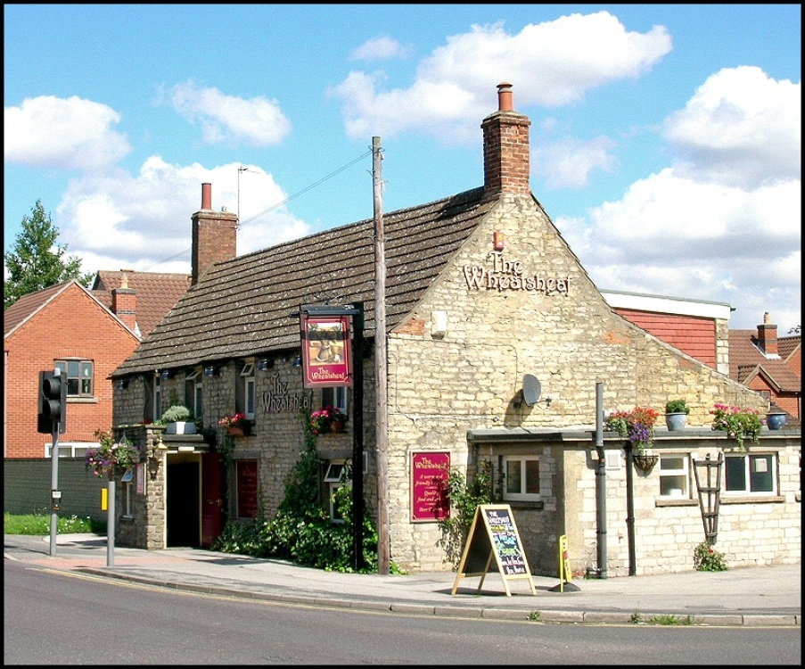 A picture of Waddington