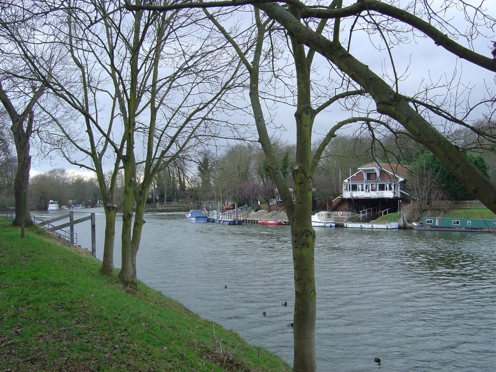 Photograph of River Thames in Weybridge, Surrey. In summer the people walk around and trip in boat.