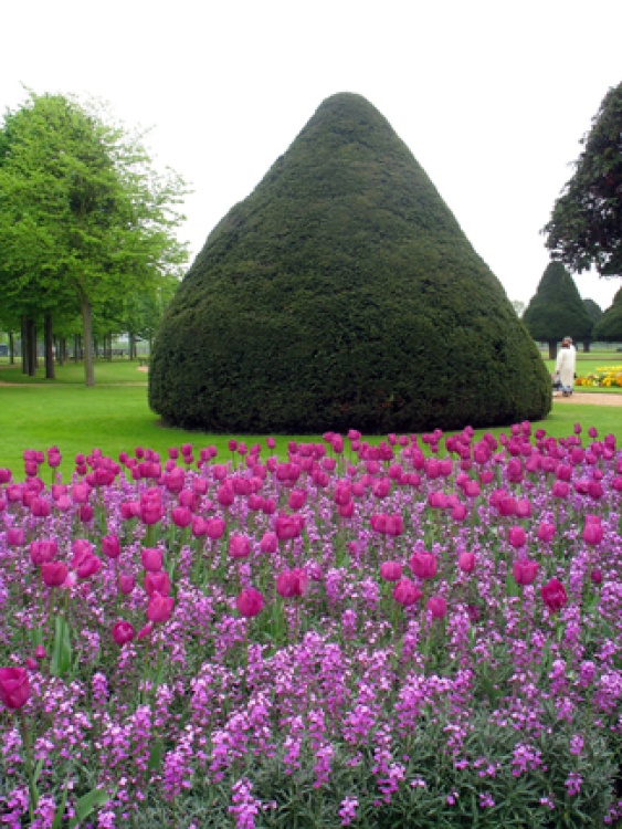 The gardens at Hampton court in May 2006.