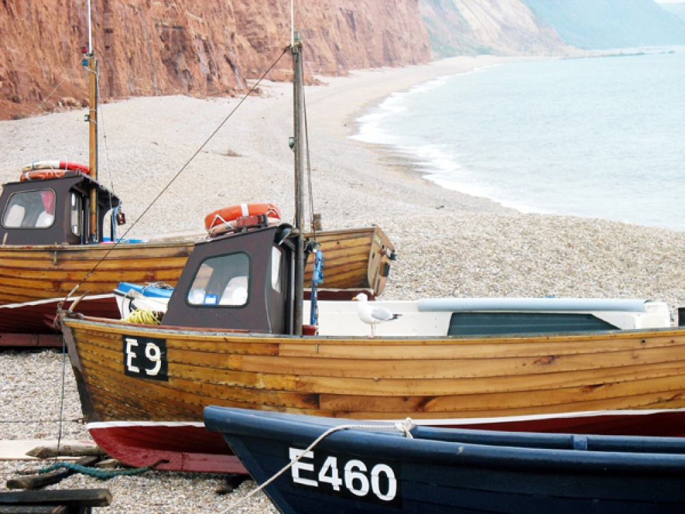 Boats on beach at Sidmouth, Devon.