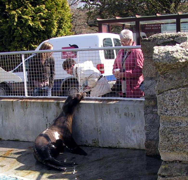 A picture of The National Seal Sanctuary photo by Peter Evans