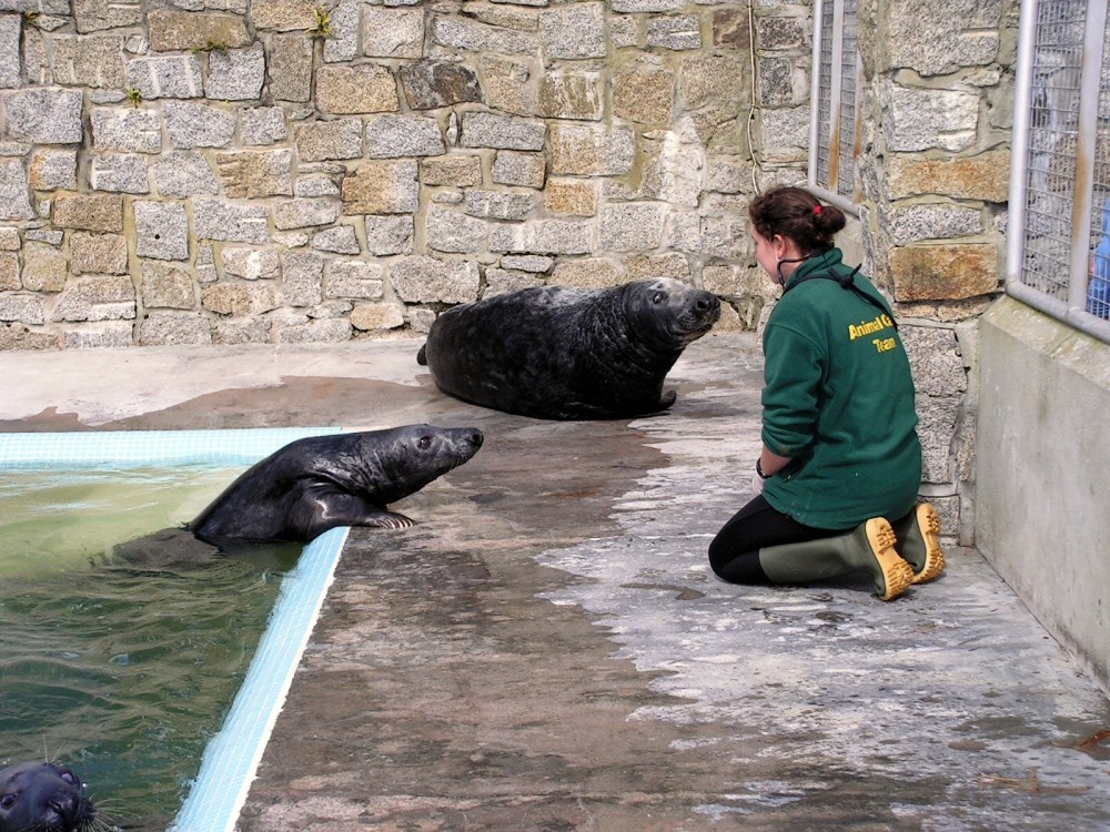 A picture of The National Seal Sanctuary photo by Peter Evans