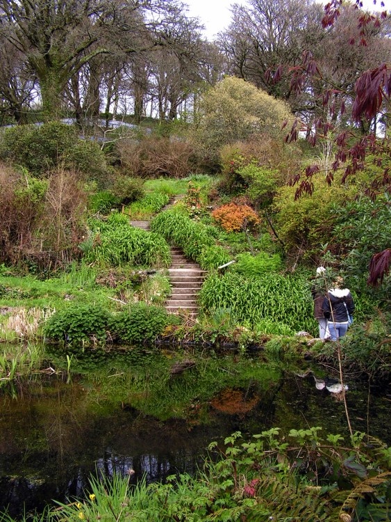 Looe Monkey Sanctuary. Cornwall. April 2005