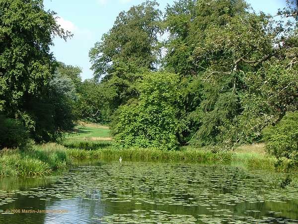 Blenheim Park, remote corner of the Lake