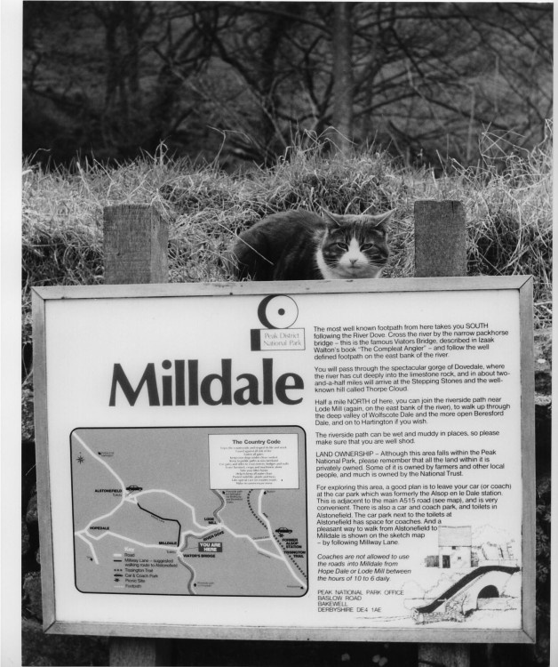 Milldale, Derbyshire