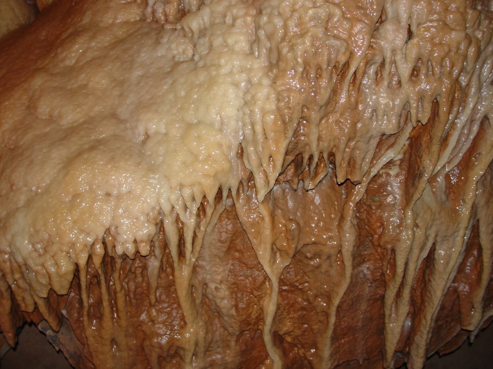 A limestone formation in Cheddar Caves, Somerset
