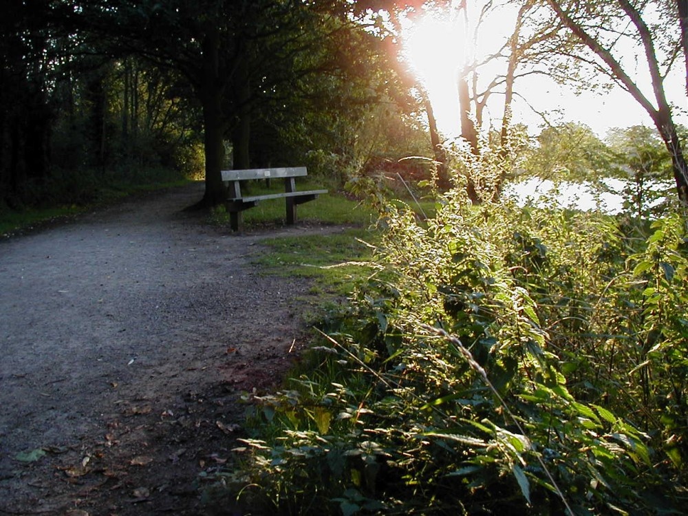 Kingsbury Water Park in the morning, Warwickshire