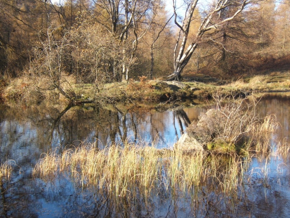 Small tarn (actually a disused reservoir), a lovely spot on Holme Fell near Little Langdale.