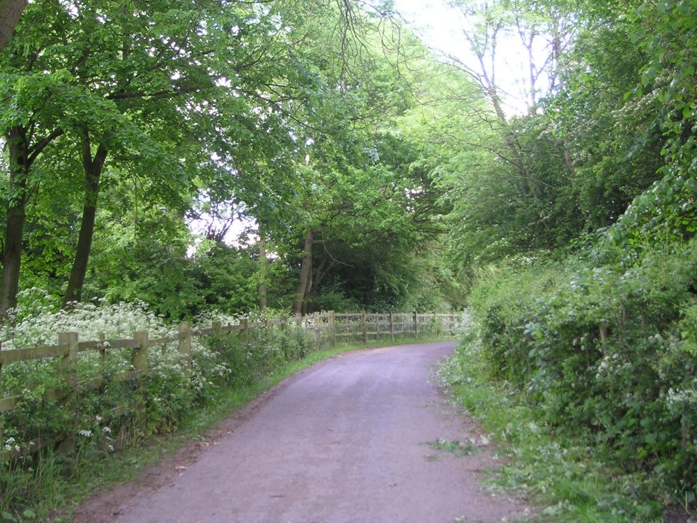 Photograph of Just around the corner of this lovely country lane lies Babbington Village.