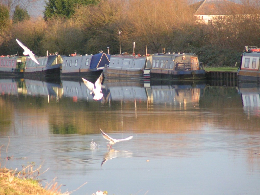 Early evening playtime on the wettest street in Slimbridge, Gloucestershire