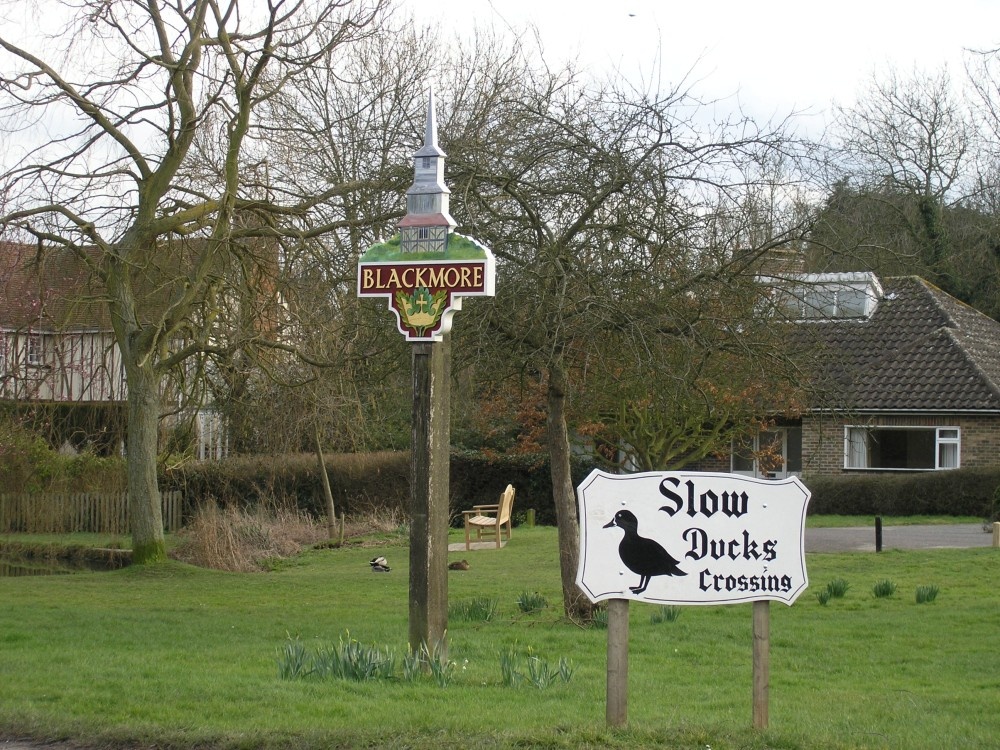 Blackmore village green, Essex