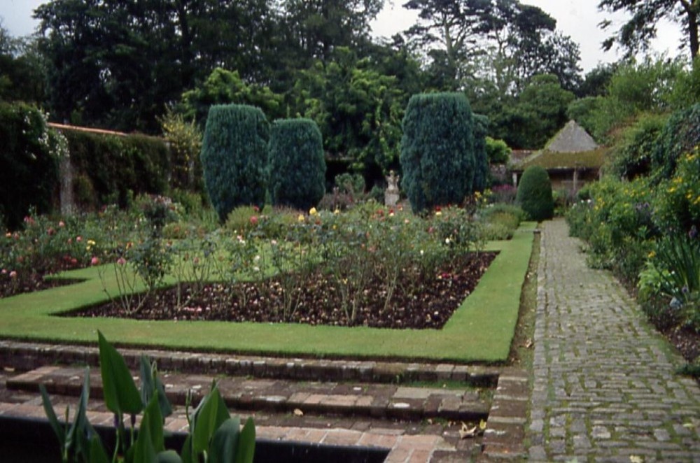 A picture of Trewithen Gardens - Cornwall