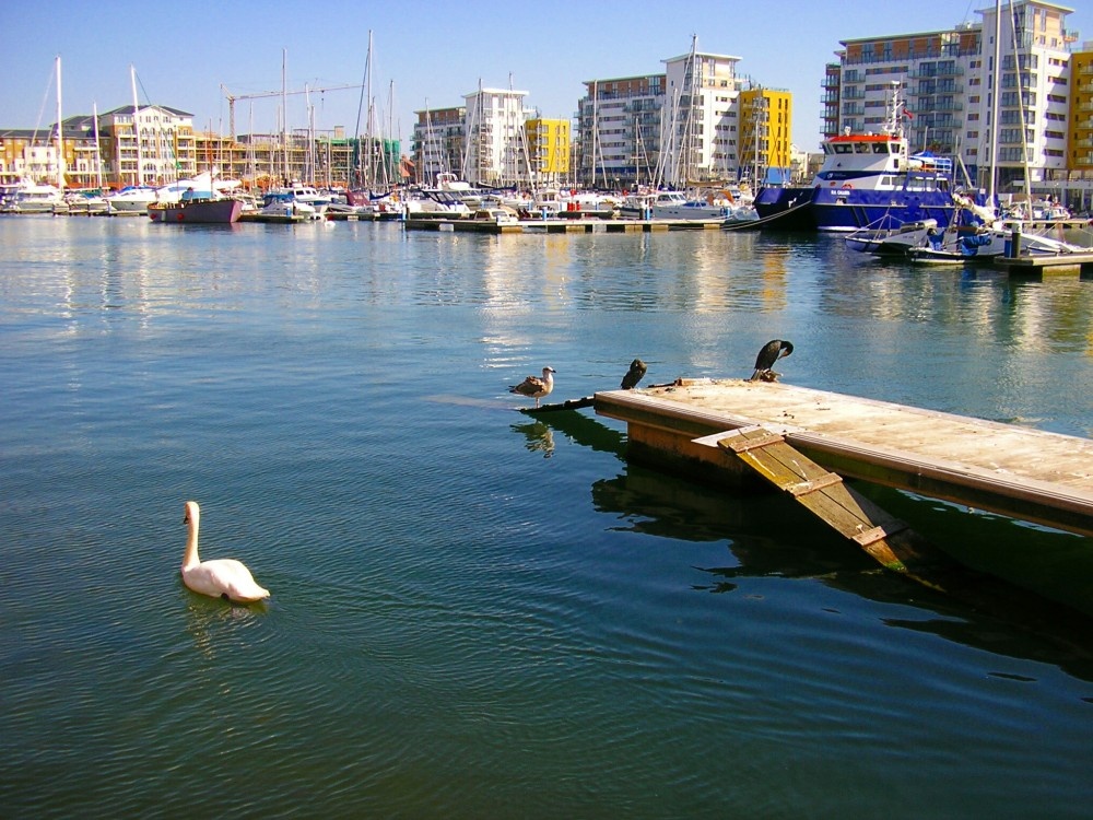 Sovereign harbour, Eastbourne