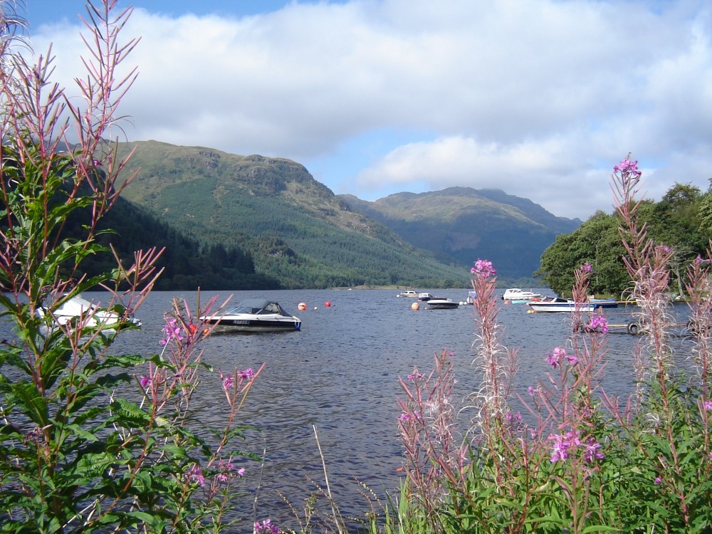 Loch Eck, between Dunoon and Spachur