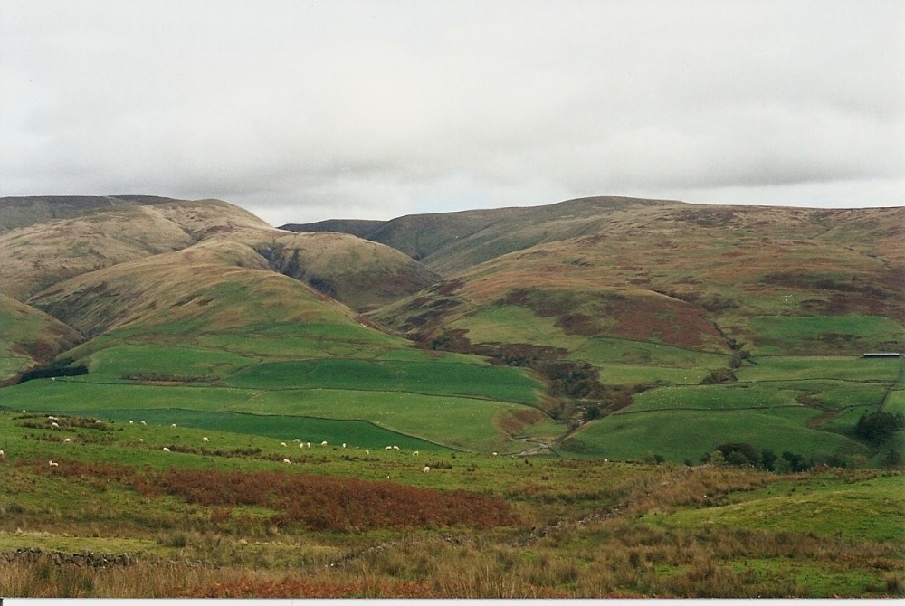 High Moor immediately north of Grasmere taken 9am in September