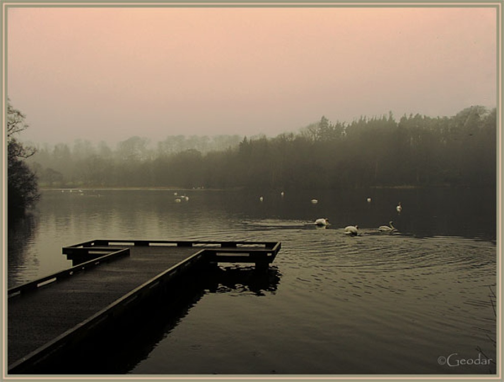 Bolam Lake, Northumberland