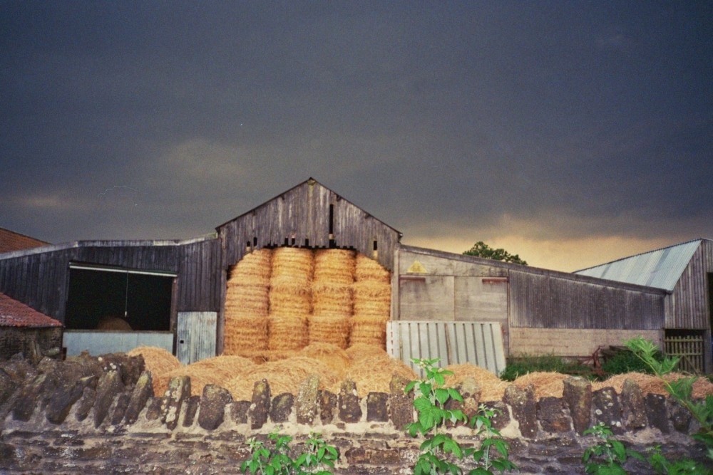 Storm, Scackleton farmyard, North Yorkshire