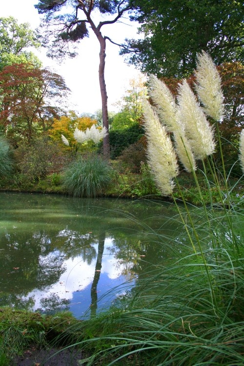 Exbury gardens, Exbury, Hampshire
