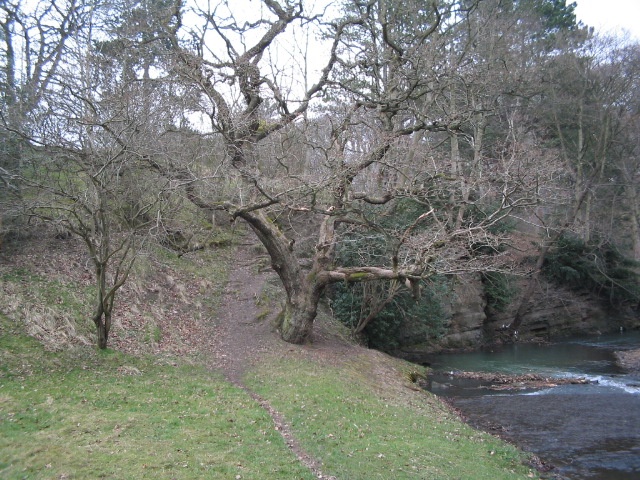 Bishops Park,Bishop Auckland,Durham