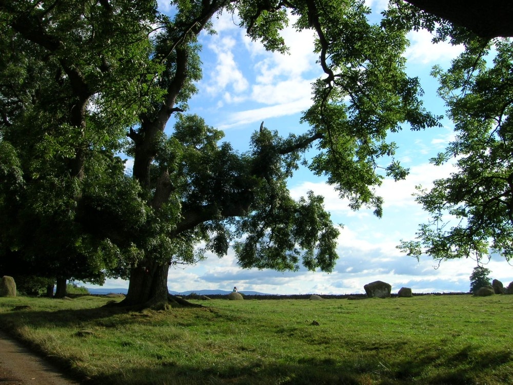 Long Meg & her Daughters (Maughanby Circle)- near Penrith, Cumbria photo by Erika